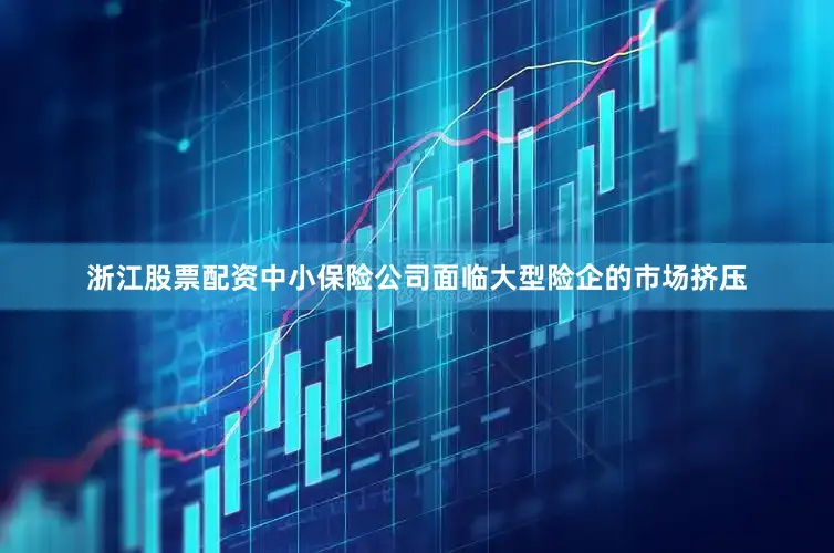 浙江股票配资中小保险公司面临大型险企的市场挤压