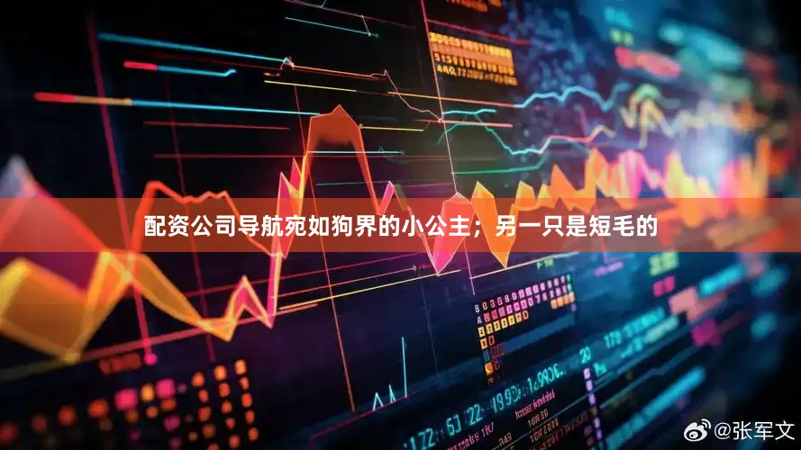 配资公司导航宛如狗界的小公主；另一只是短毛的